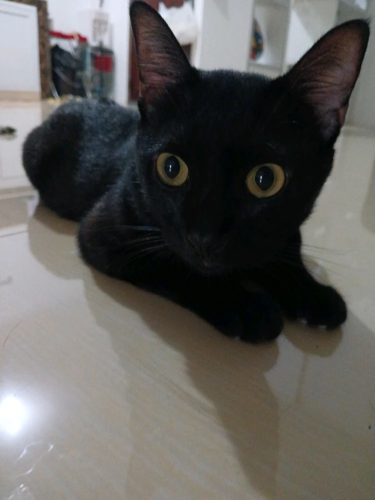 Image uploaded by Jessa