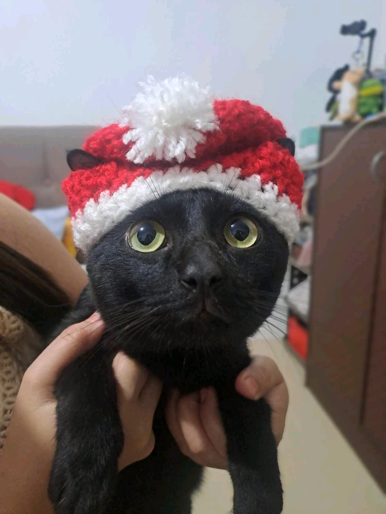 Image uploaded by Jessa