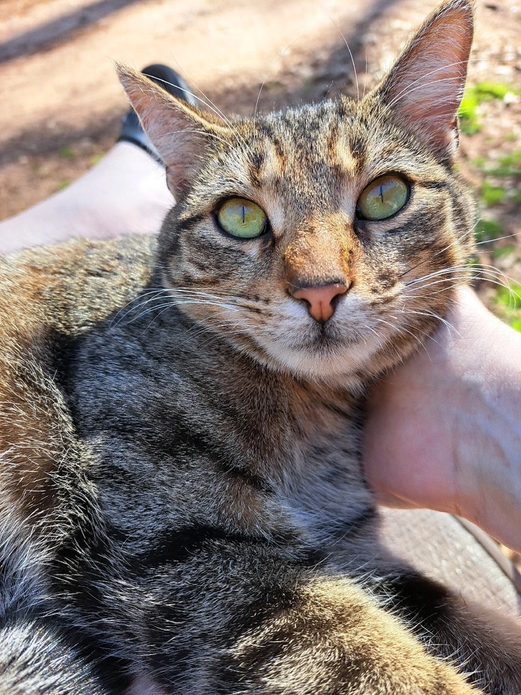 GIF uploaded by Cassandra