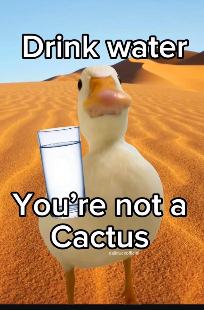 GIF hochgeladen von Noah