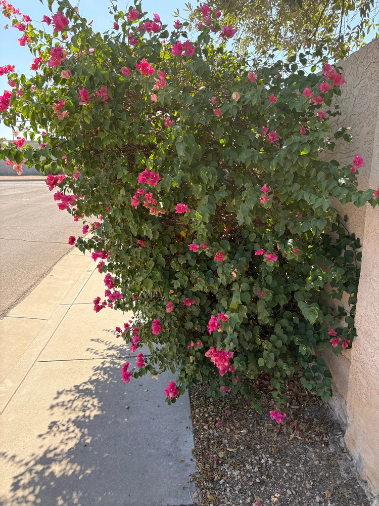 GIF uploaded by Kenya