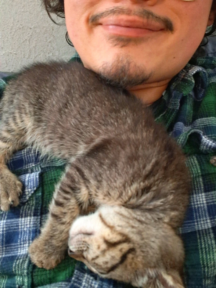 GIF diunggah dening Frankie