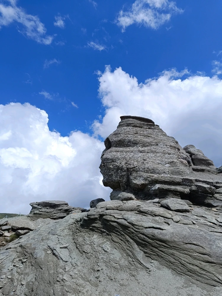 Imagine încărcată de David