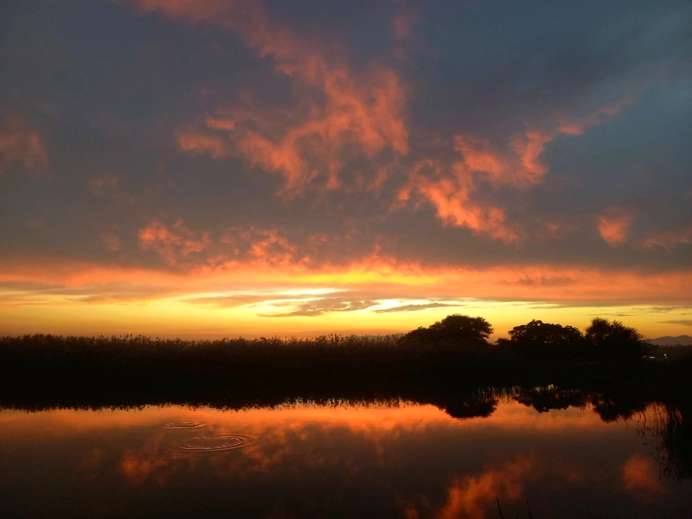 Prent opgelaai deur Phil