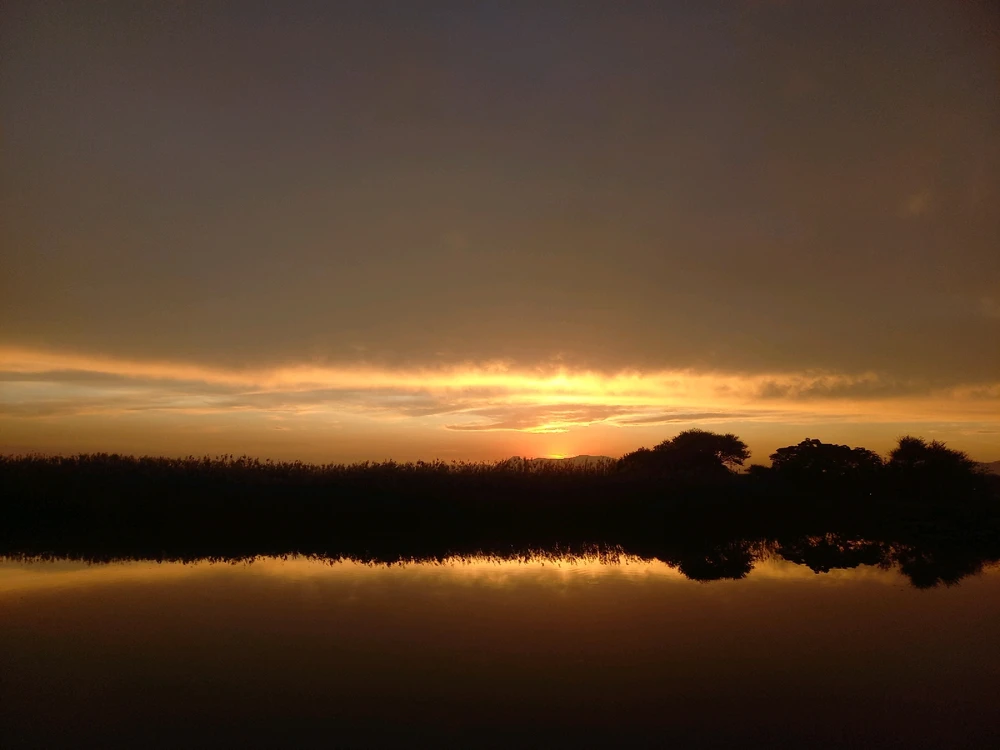 Prent opgelaai deur Phil