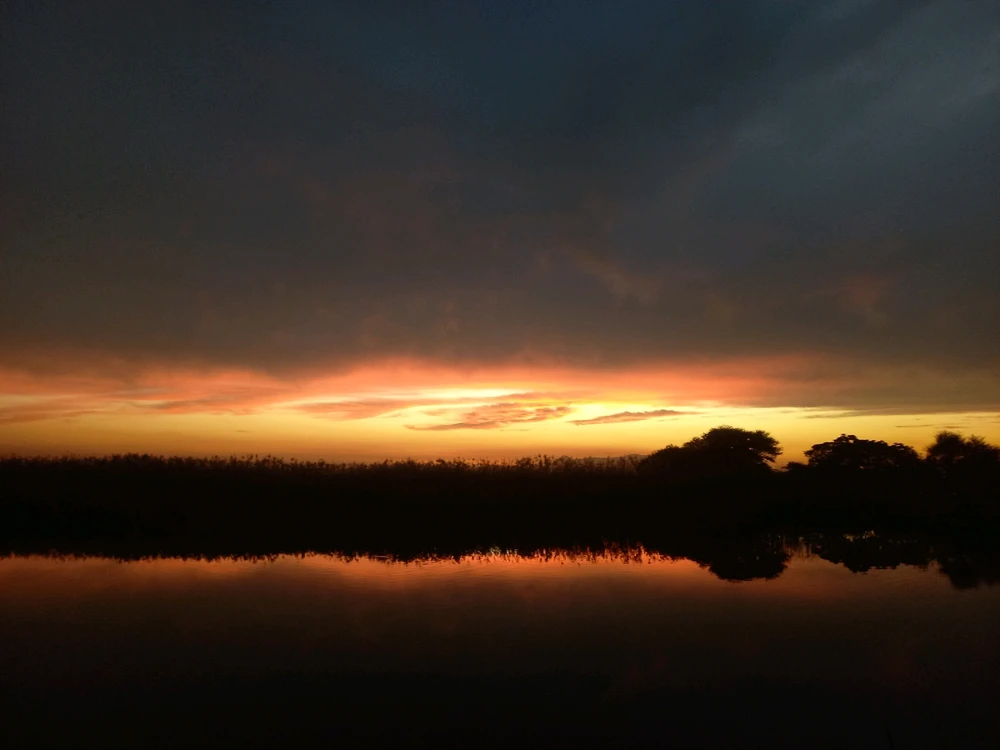 Prent opgelaai deur Phil