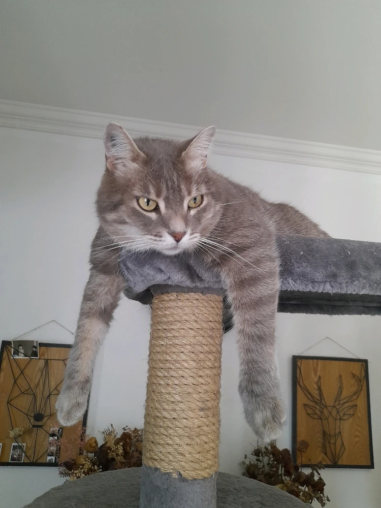 GIF ajouté par Bruno