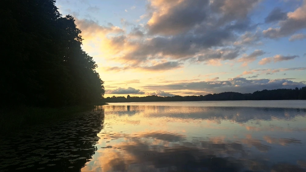 GIF įkėlė Dovydas