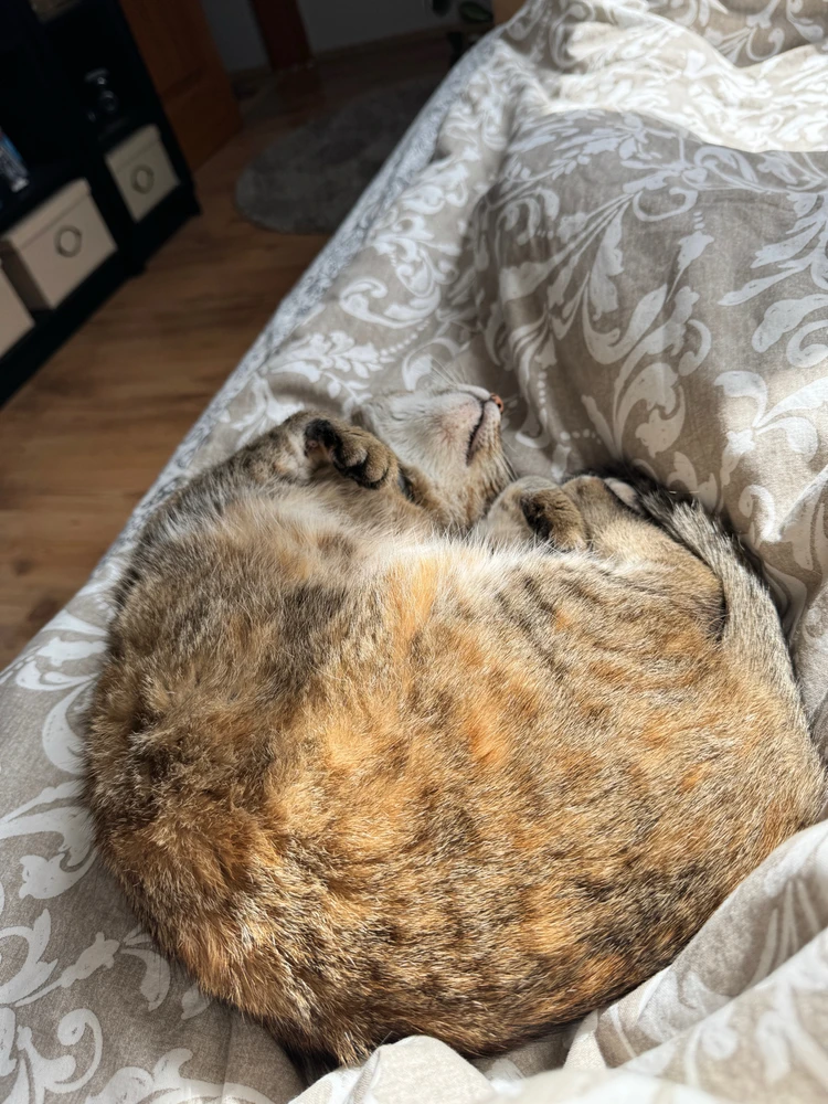 Ádám által feltöltött kép