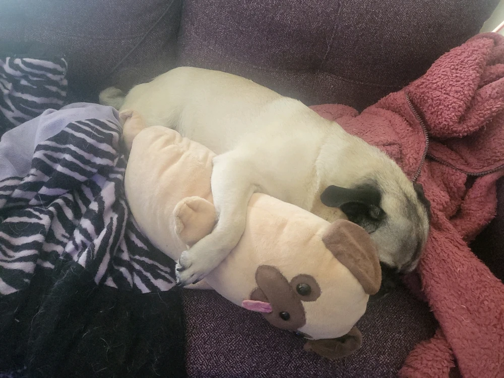 GIF uploaded by Seren