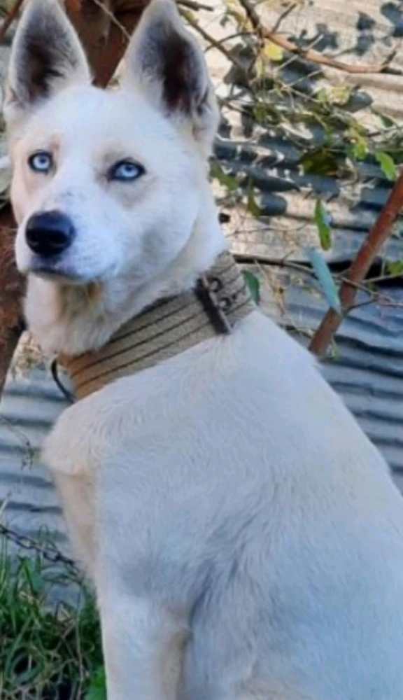 تصویر آپلود شده توسط sara