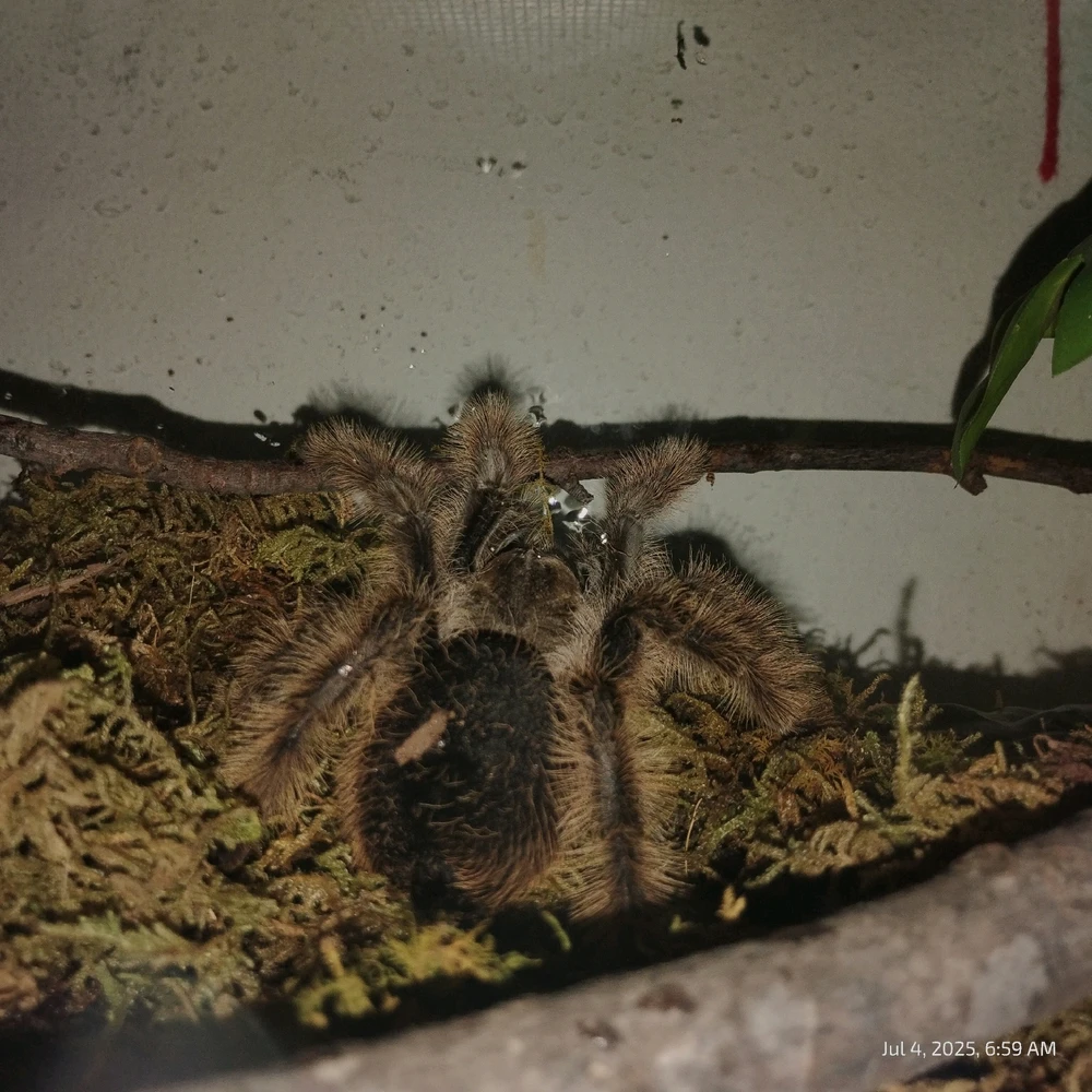 GIF uploaded by Dustin