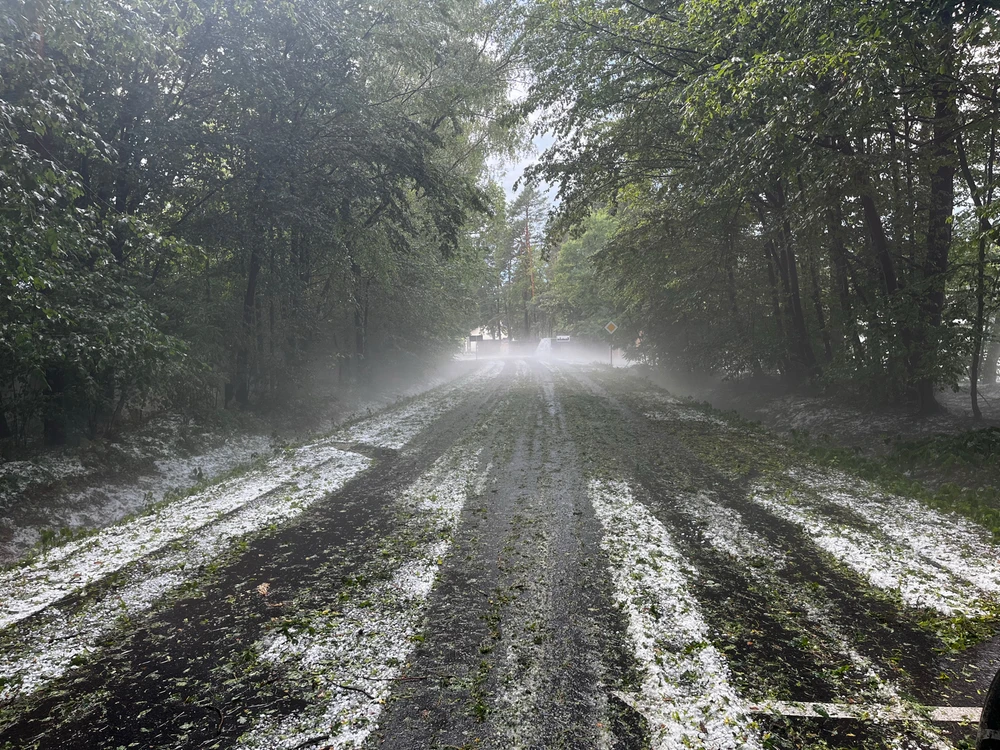 Zdjęcie dodane przez Kamil
