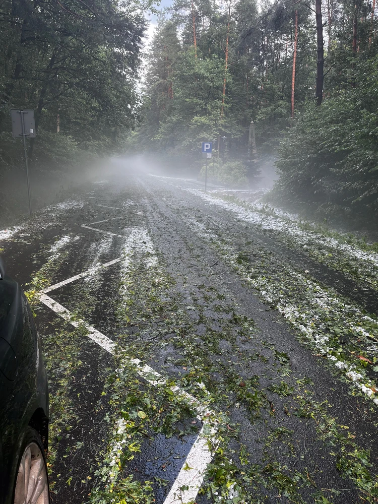 Zdjęcie dodane przez Kamil