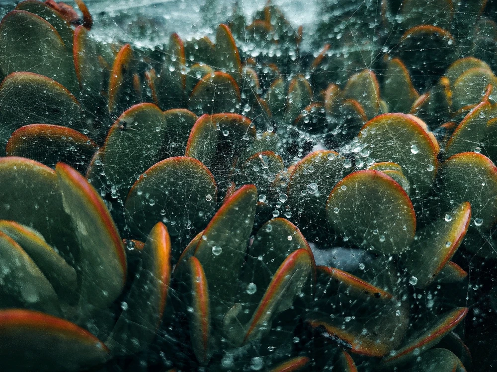 Imagen subida por Nicolás