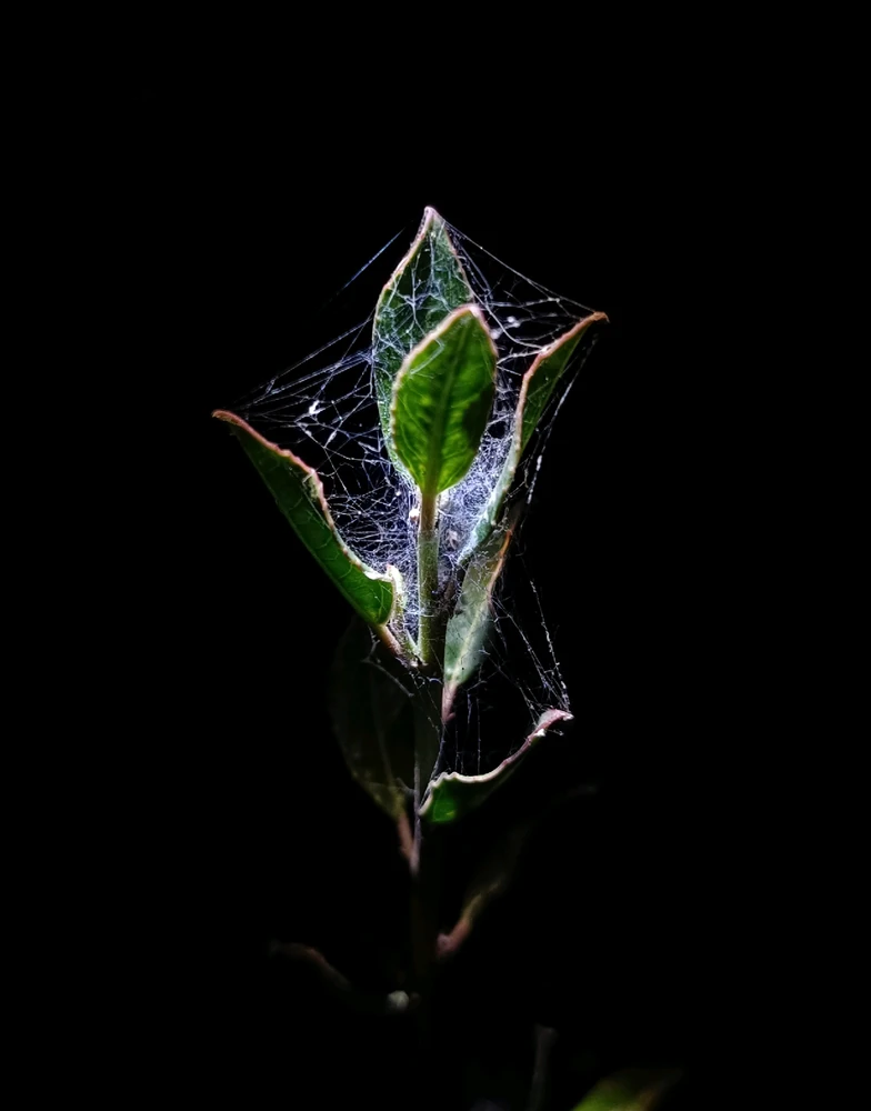 GIF ανέβηκε από Ioannis