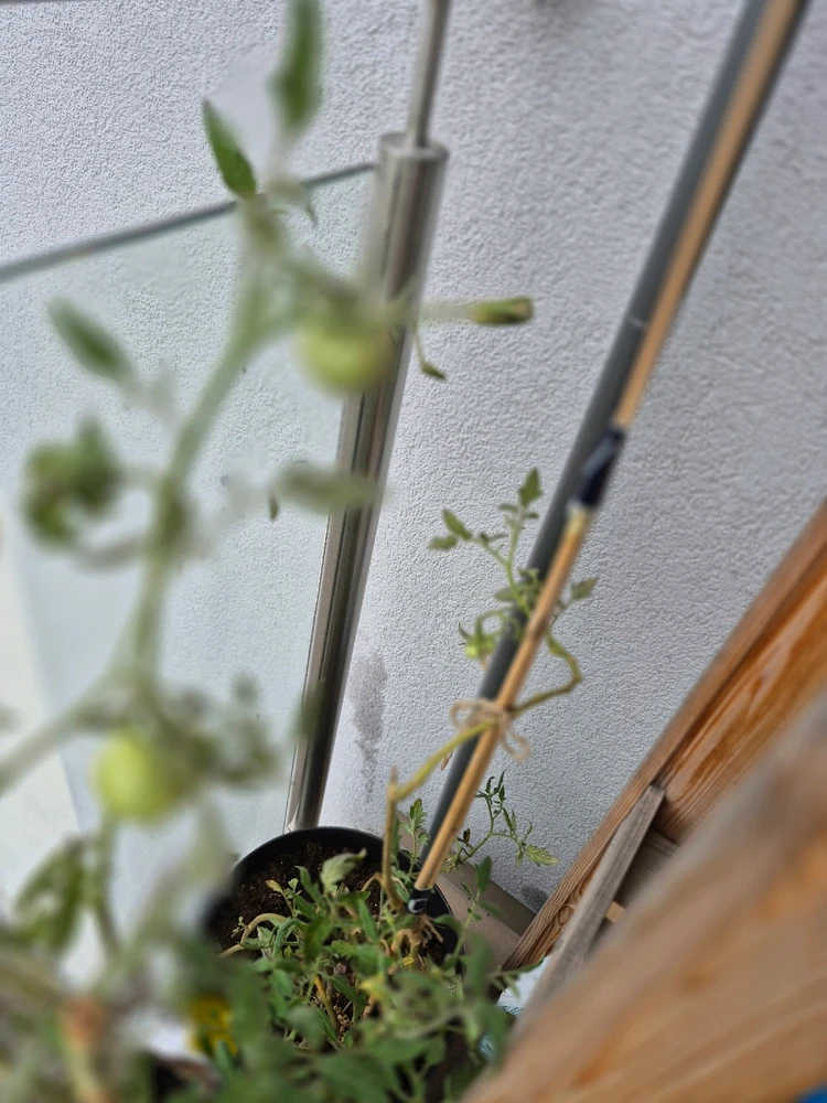 GIF dodany przez Anna