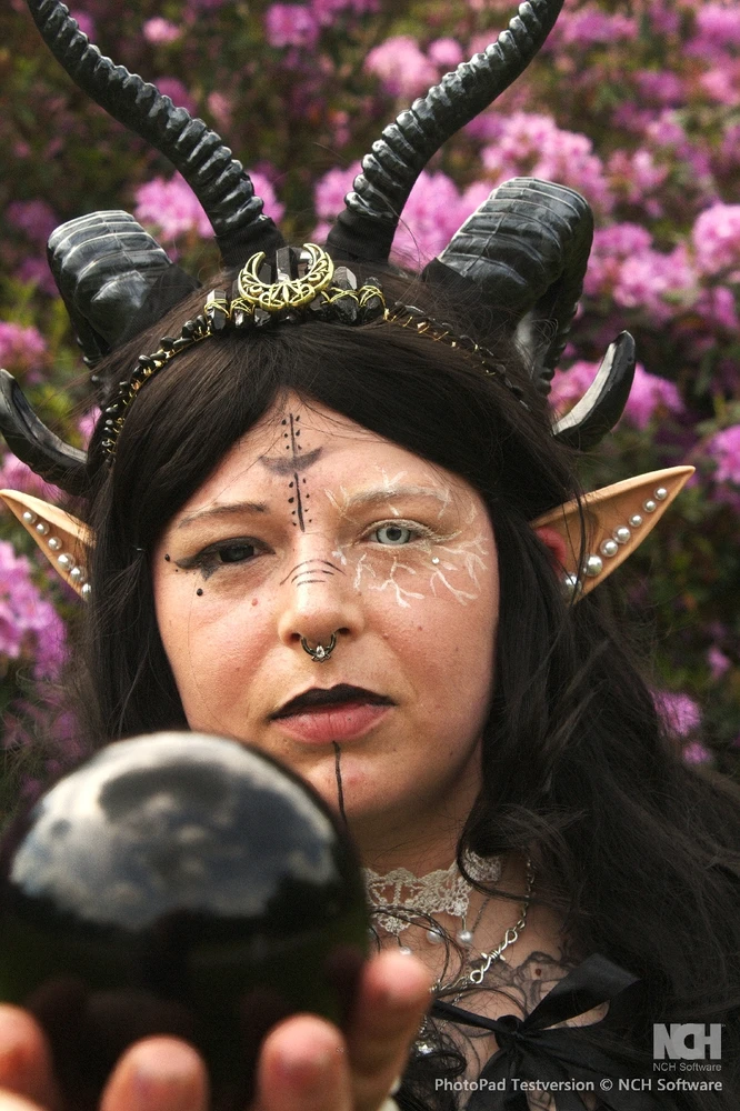 Bild hochgeladen von Miku