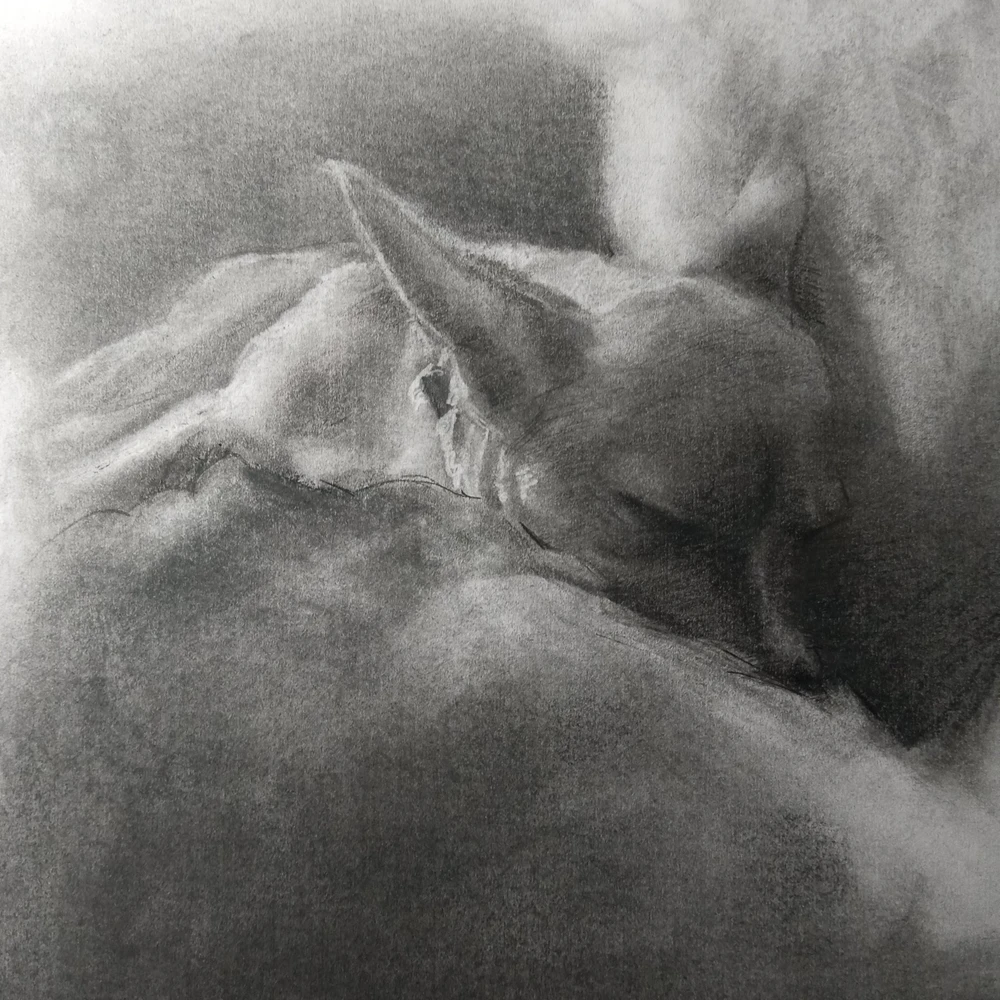 GIF uploaded by Syon