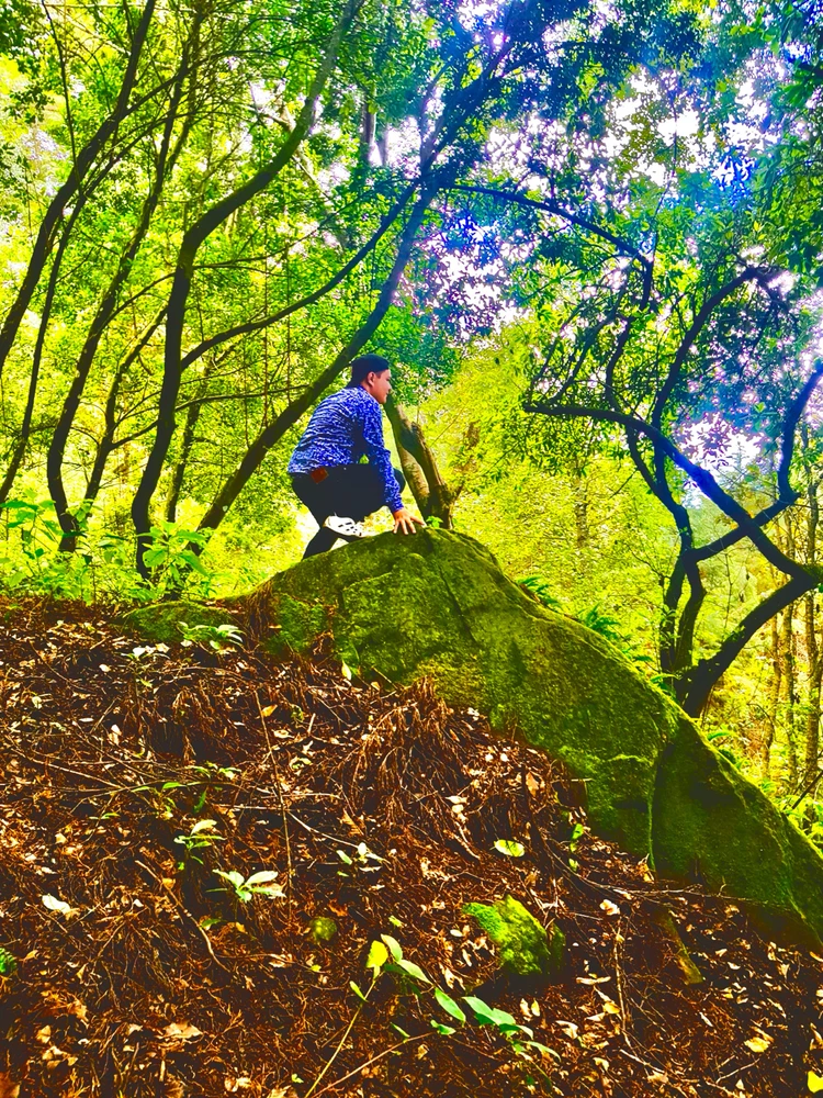 Crónicas de una vida pasada