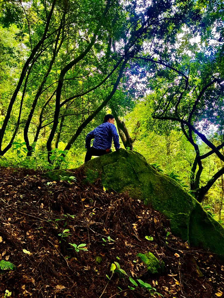 Crónicas de una vida pasada