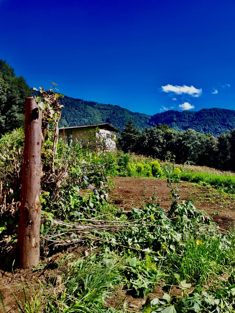 Crónicas de una vida pasada