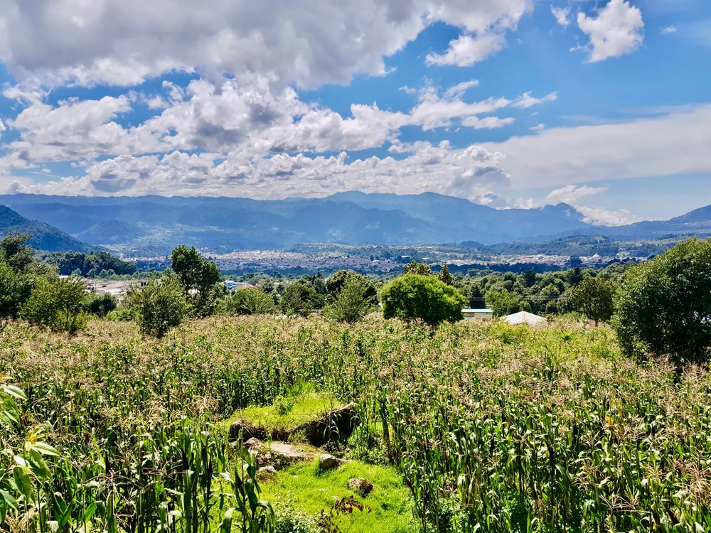 Crónicas de una vida pasada