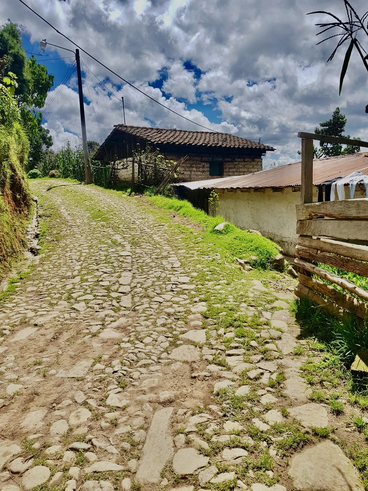 Crónicas de una vida pasada