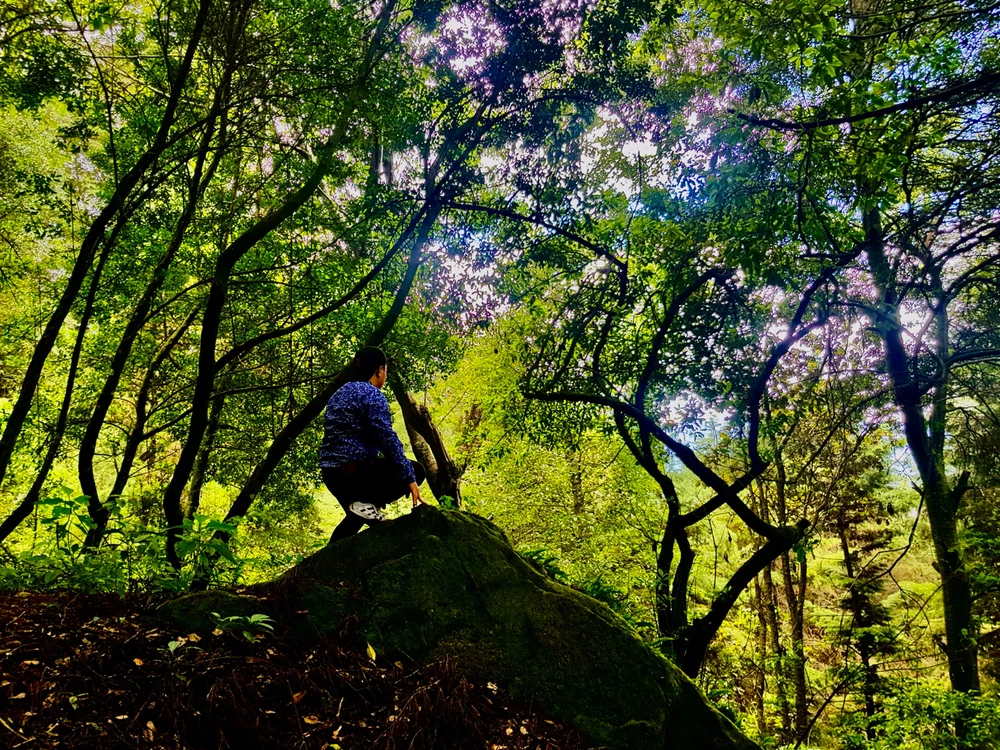 Crónicas de una vida pasada
