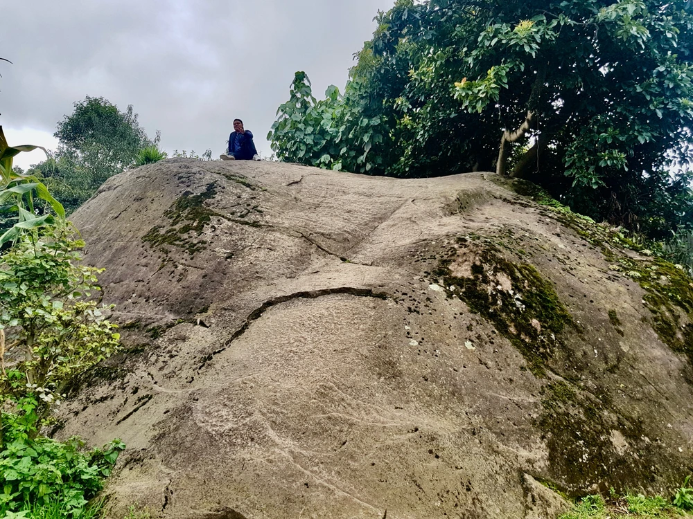 Crónicas de una vida pasada