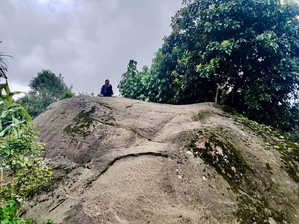 Crónicas de una vida pasada