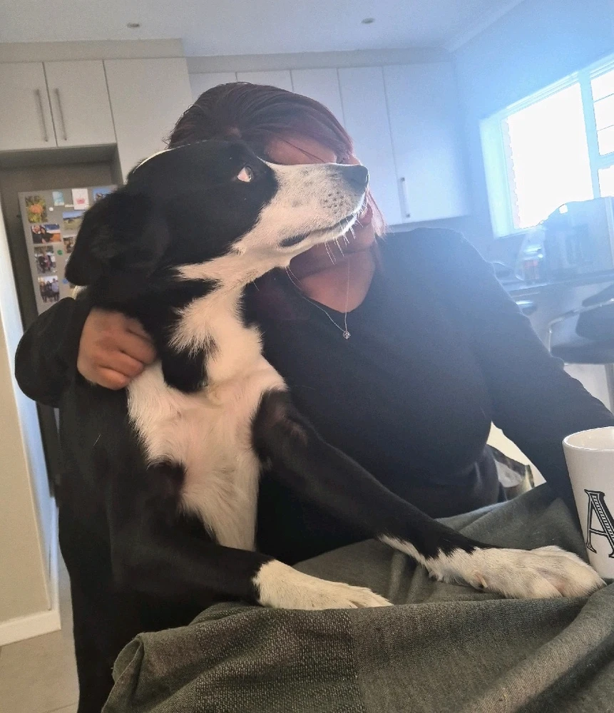 GIF uploaded by Sandz