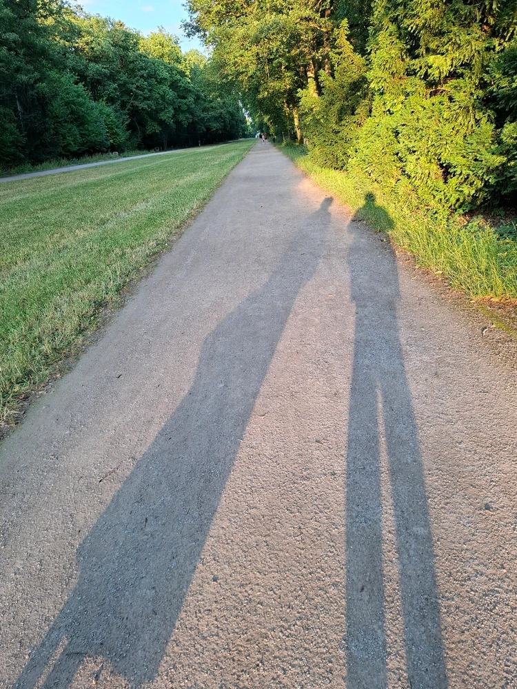 Obrázek nahrál ©️Iva 🦉
