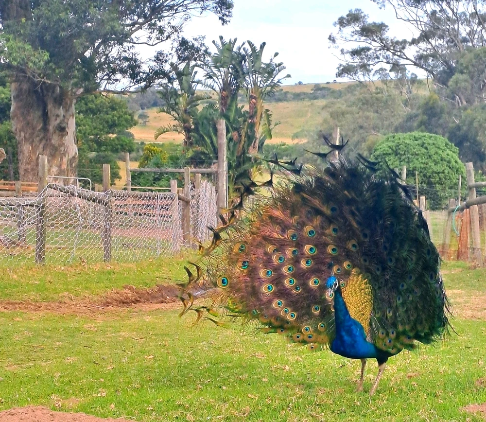 GIF uploaded by Sandz