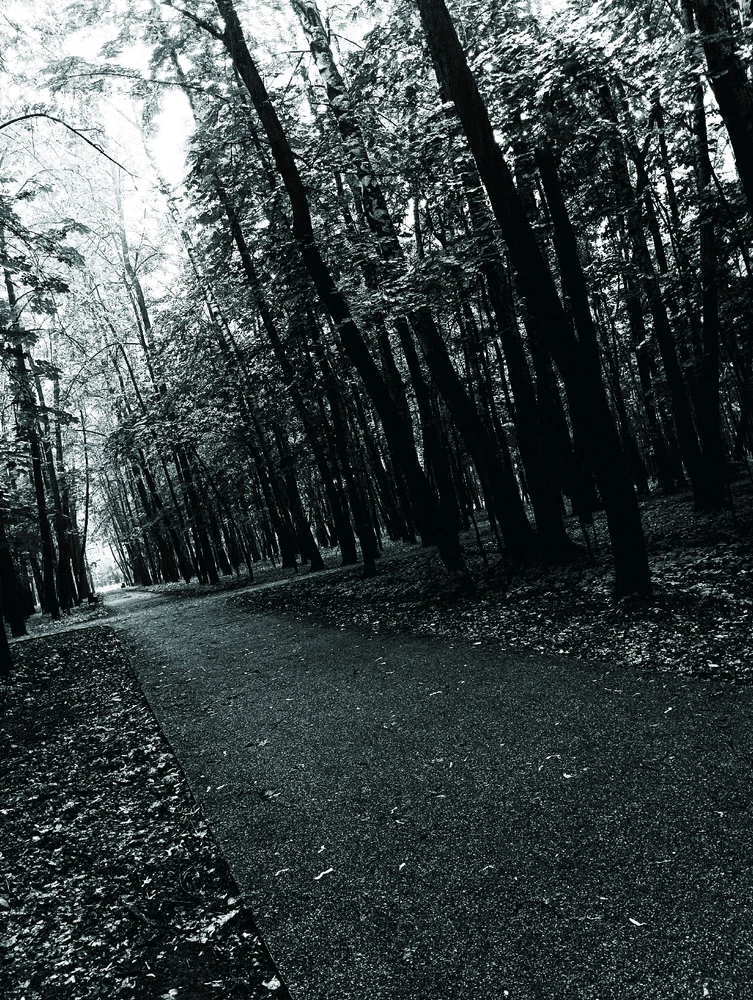 Фото загрузил Роберт