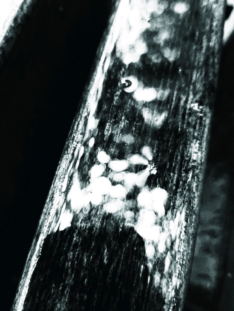 Фото загрузил Роберт