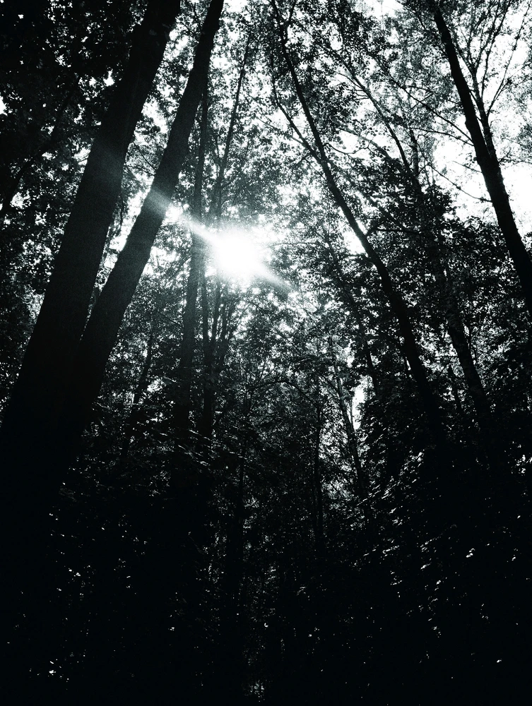 Фото загрузил Роберт