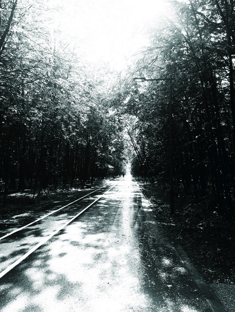 Фото загрузил Роберт