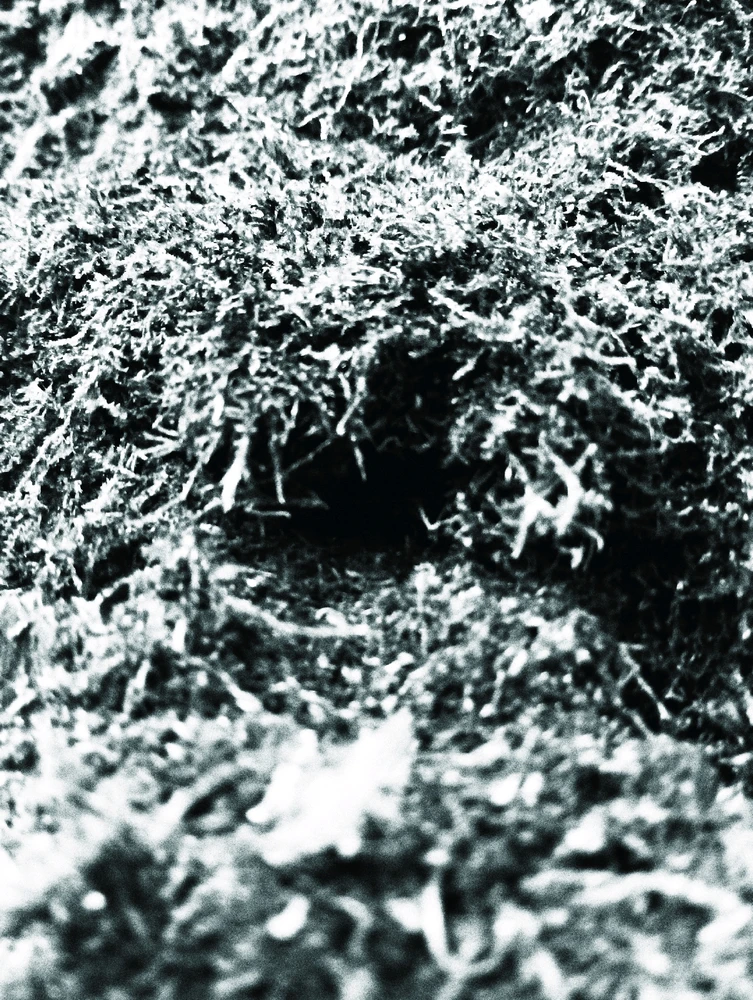 Фото загрузил Роберт