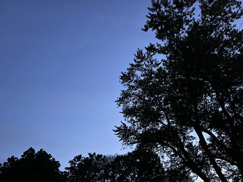Asger байршуулсан GIF