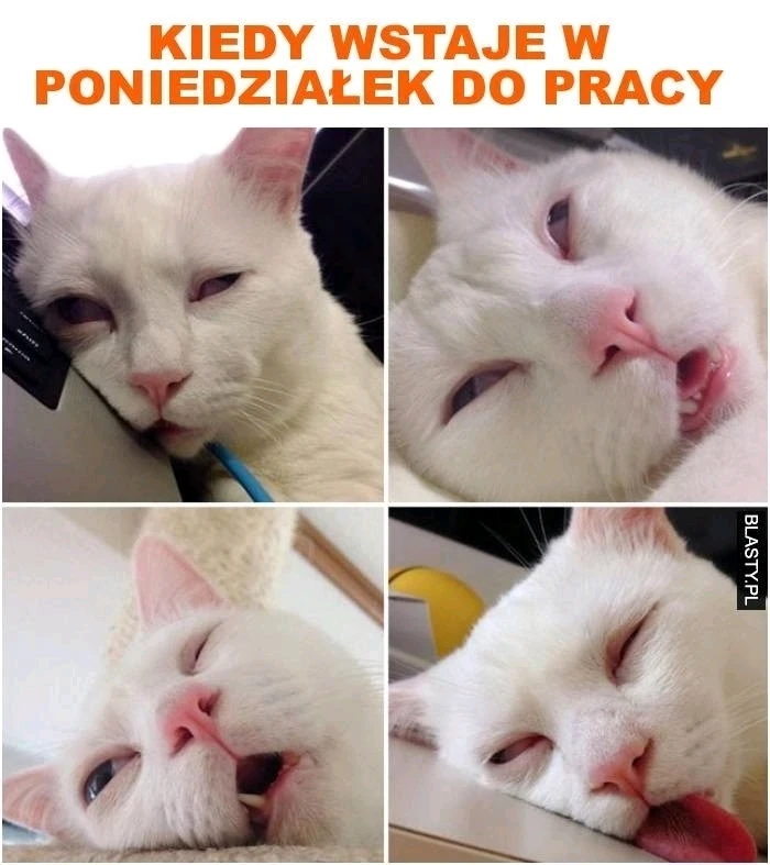 GIF dodany przez Krzysiek