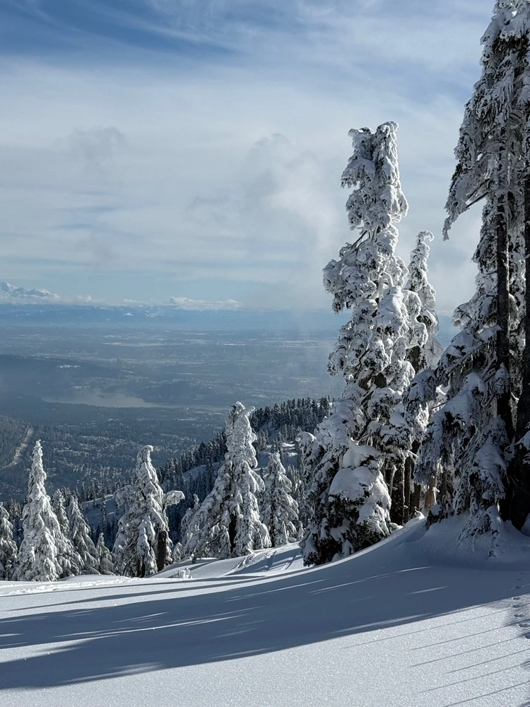 Фото загрузил Кирилл