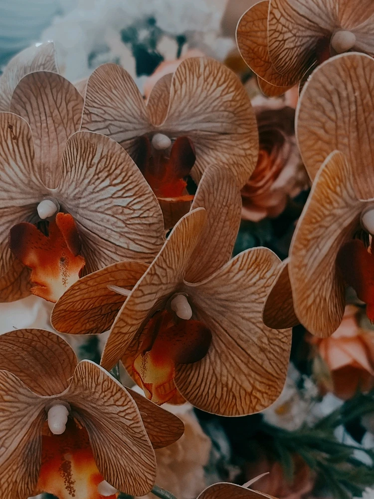 Image uploaded by 𝓢𝓮𝓻𝓮𝓷 • 𝓢𝓮𝓻𝓮𝓷𝓭𝓲𝓹𝓲𝓽𝔂