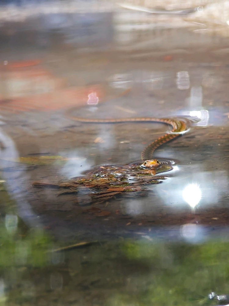 Image uploaded by Shiv