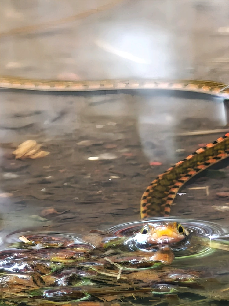 Image uploaded by Shiv