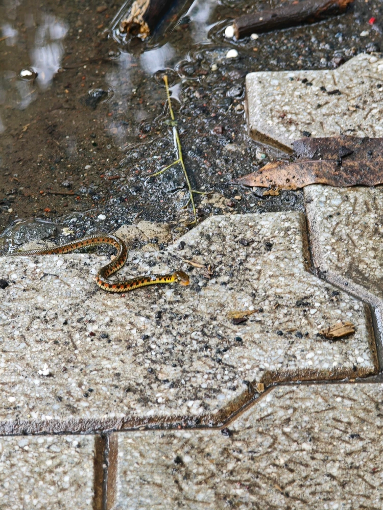 Image uploaded by Shiv