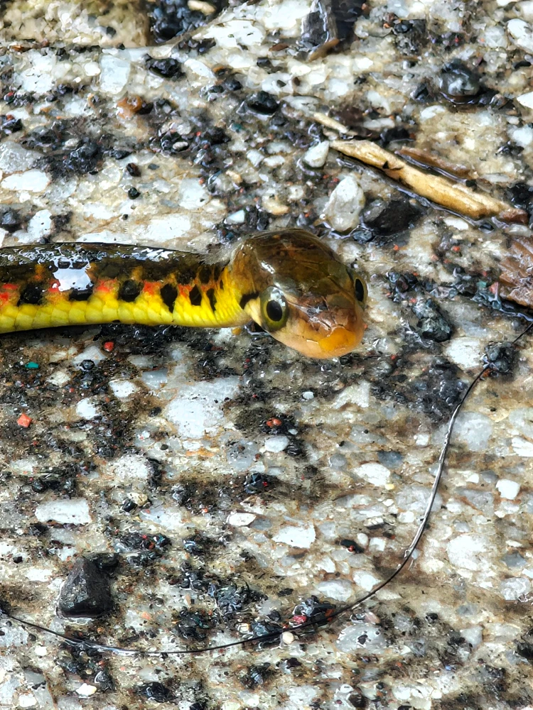 Image uploaded by Shiv