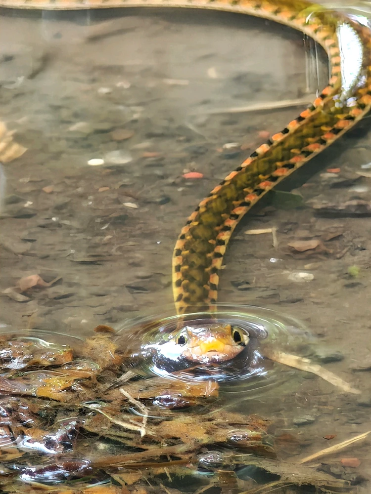 Image uploaded by Shiv