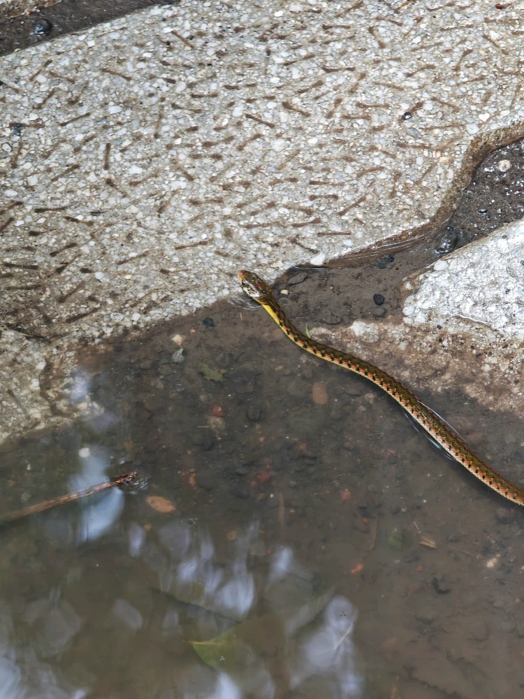 Image uploaded by Shiv