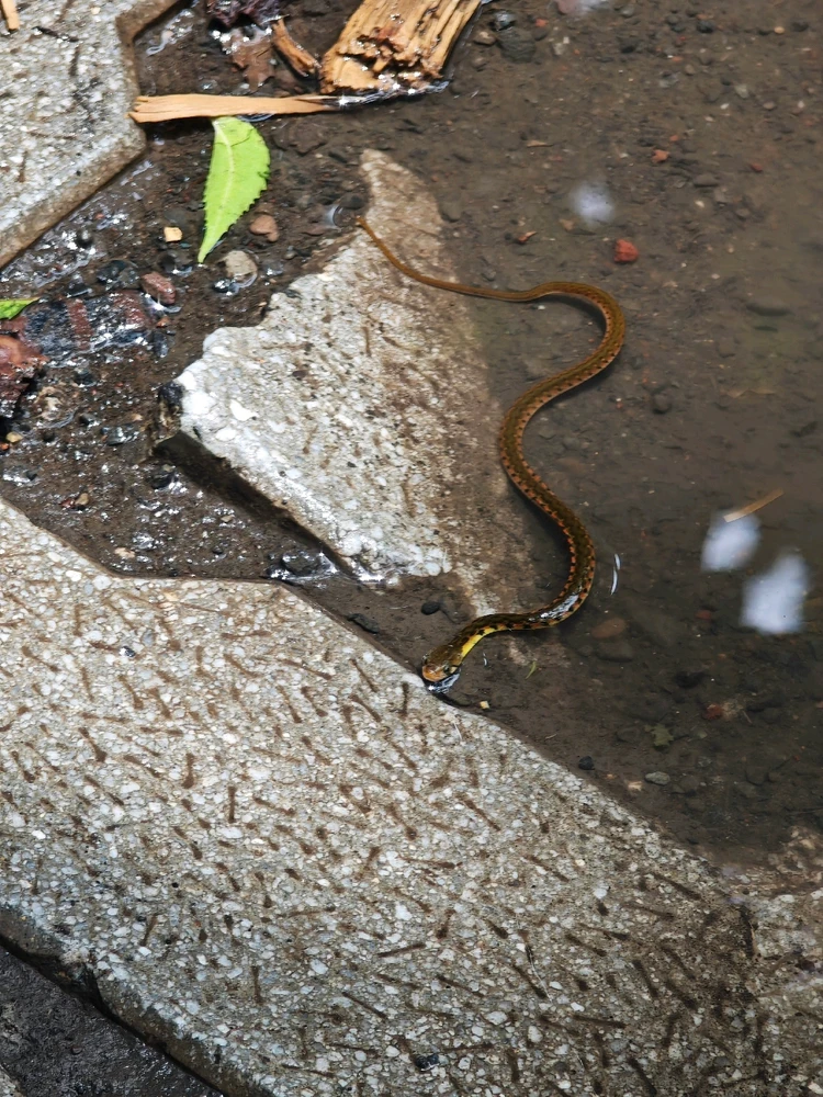 Image uploaded by Shiv